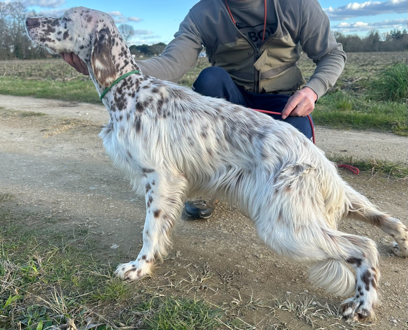 ASTRO Du Chenil De Pépon